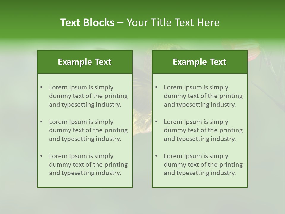 Wings Beak Hummingbird PowerPoint Template