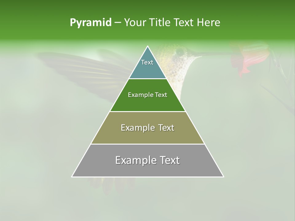 Wings Beak Hummingbird PowerPoint Template