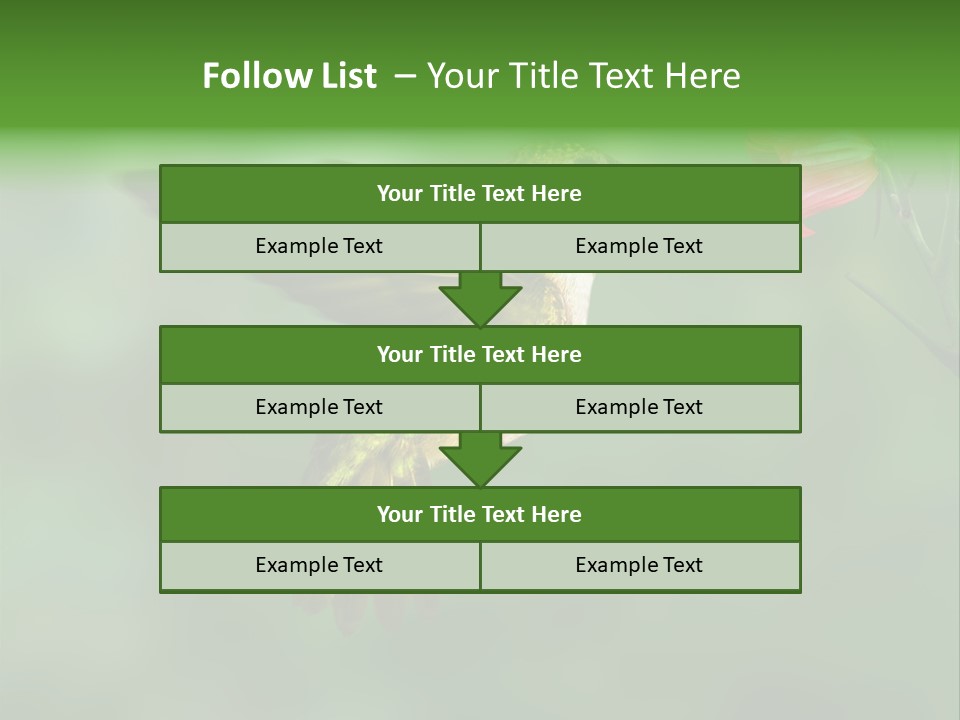 Wings Beak Hummingbird PowerPoint Template