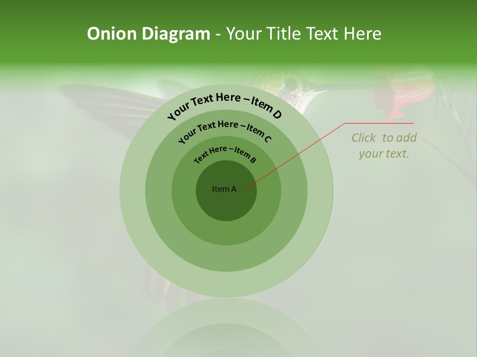 Wings Beak Hummingbird PowerPoint Template