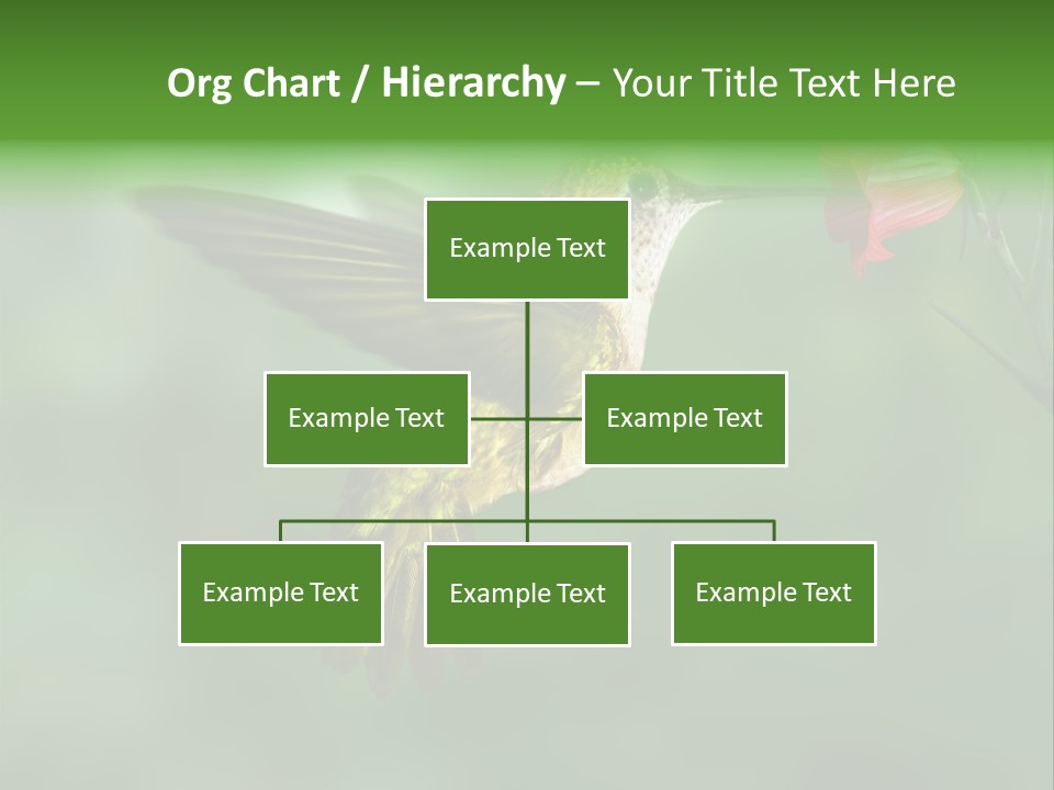 Wings Beak Hummingbird PowerPoint Template