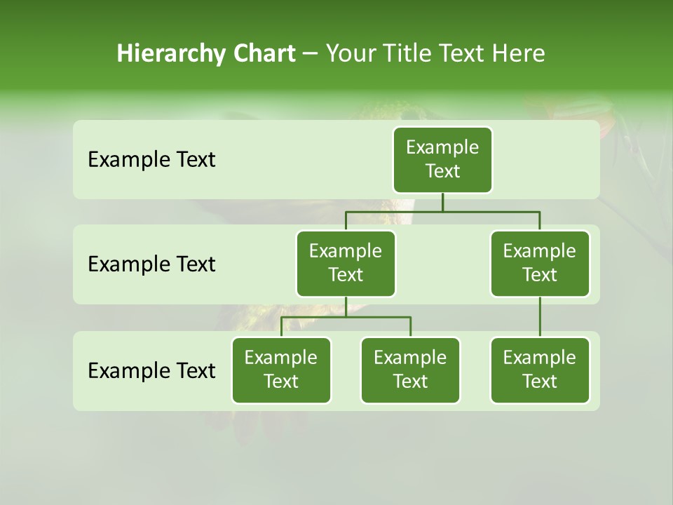 Wings Beak Hummingbird PowerPoint Template