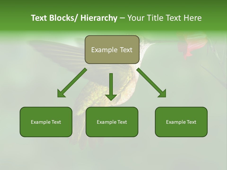 Wings Beak Hummingbird PowerPoint Template