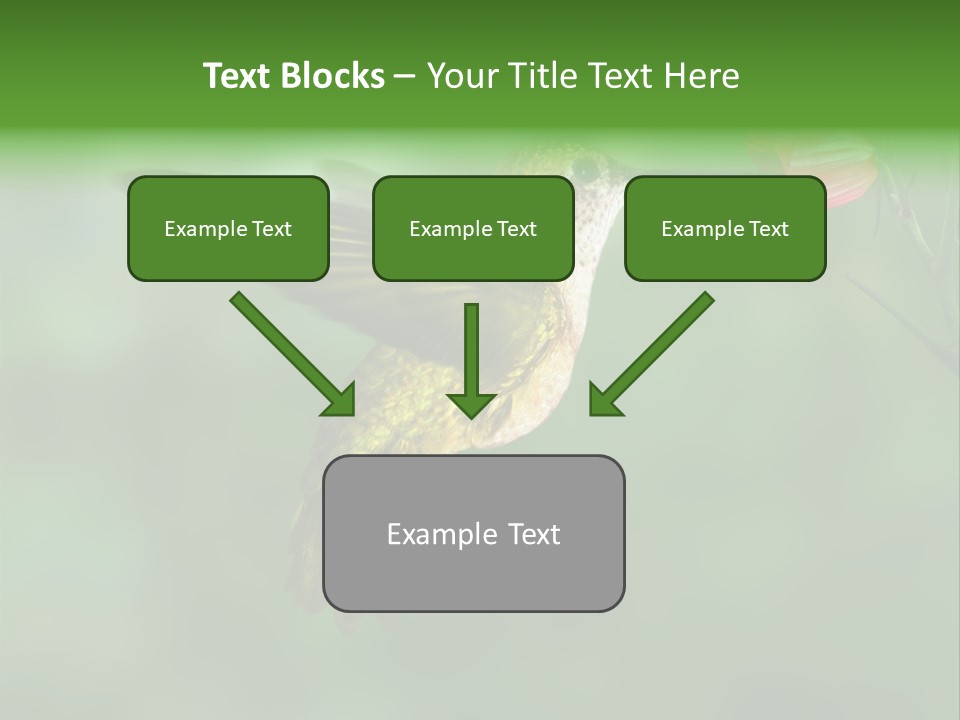 Wings Beak Hummingbird PowerPoint Template
