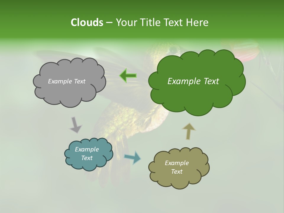 Wings Beak Hummingbird PowerPoint Template