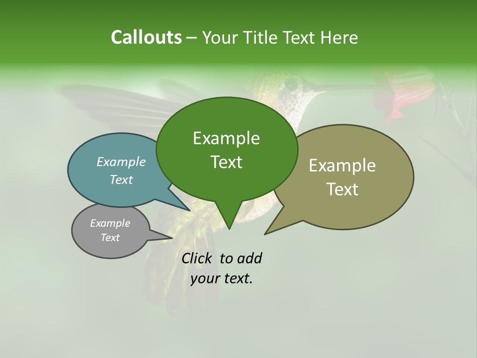 Wings Beak Hummingbird PowerPoint Template