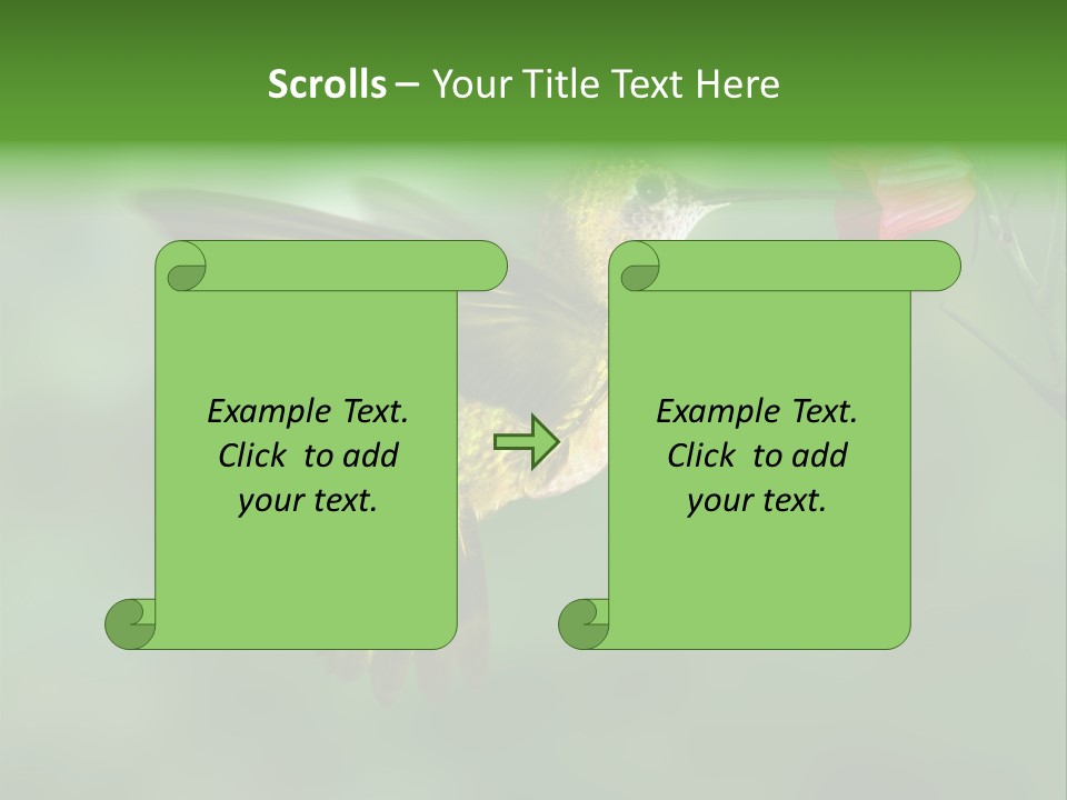 Wings Beak Hummingbird PowerPoint Template