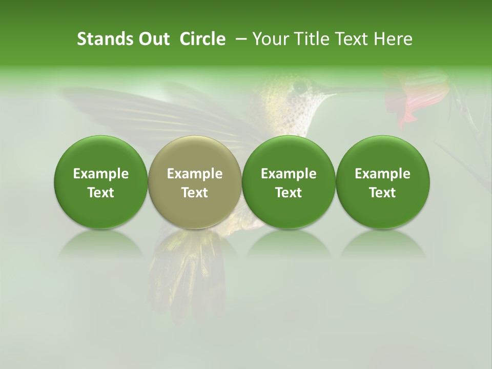 Wings Beak Hummingbird PowerPoint Template