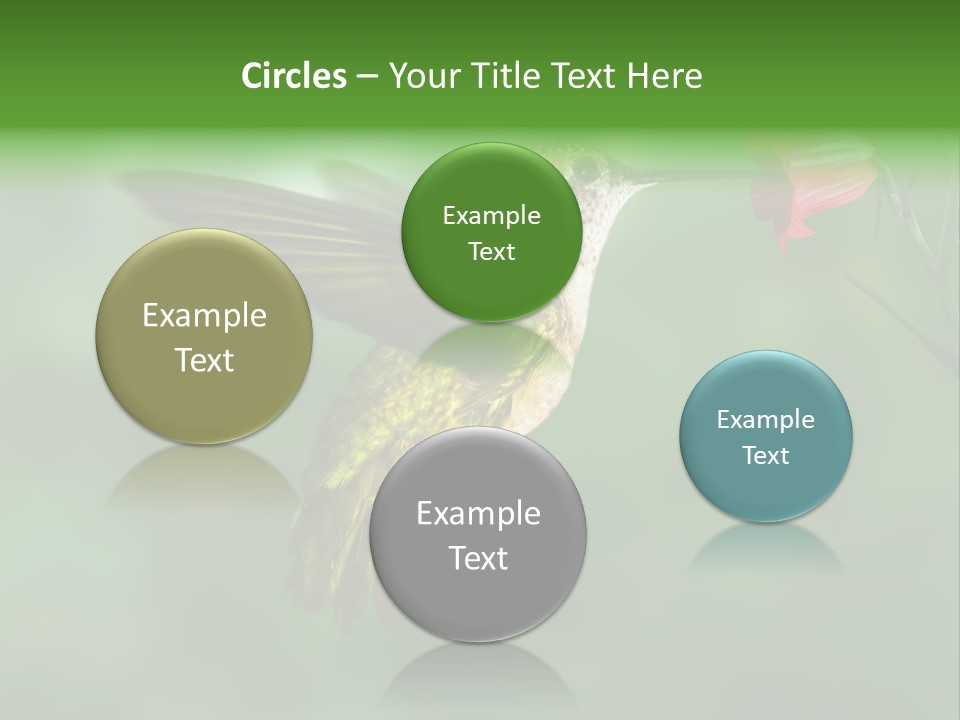 Wings Beak Hummingbird PowerPoint Template