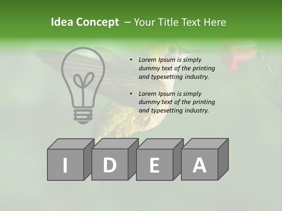 Wings Beak Hummingbird PowerPoint Template