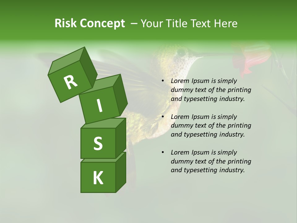 Wings Beak Hummingbird PowerPoint Template