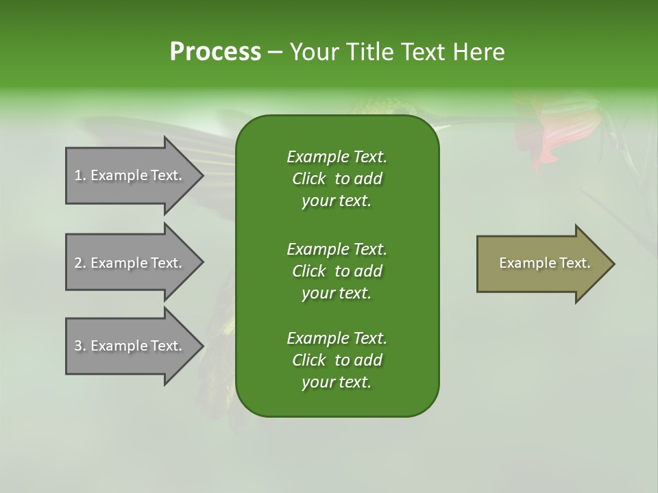 Wings Beak Hummingbird PowerPoint Template