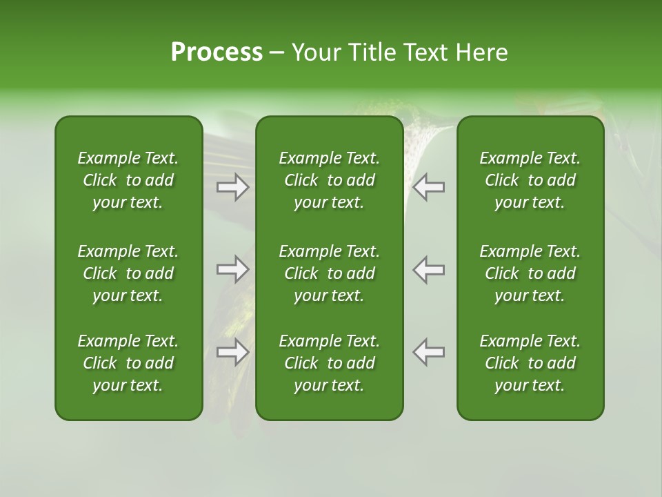 Wings Beak Hummingbird PowerPoint Template