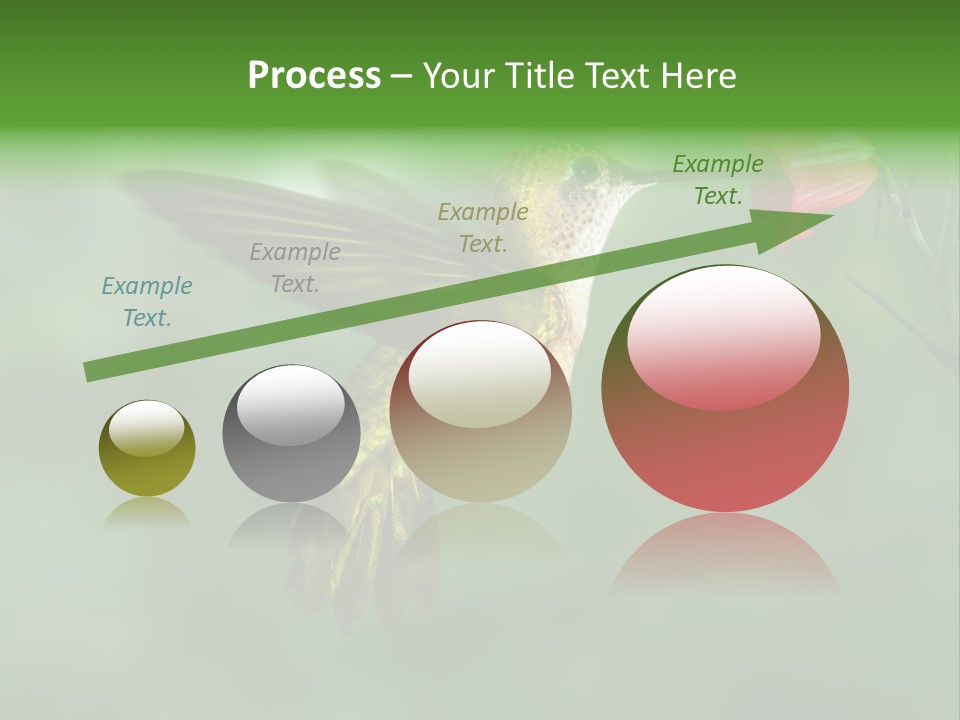 Wings Beak Hummingbird PowerPoint Template