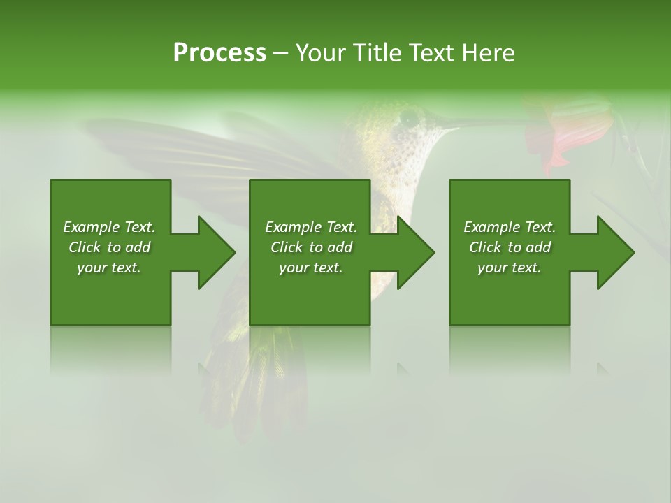 Wings Beak Hummingbird PowerPoint Template