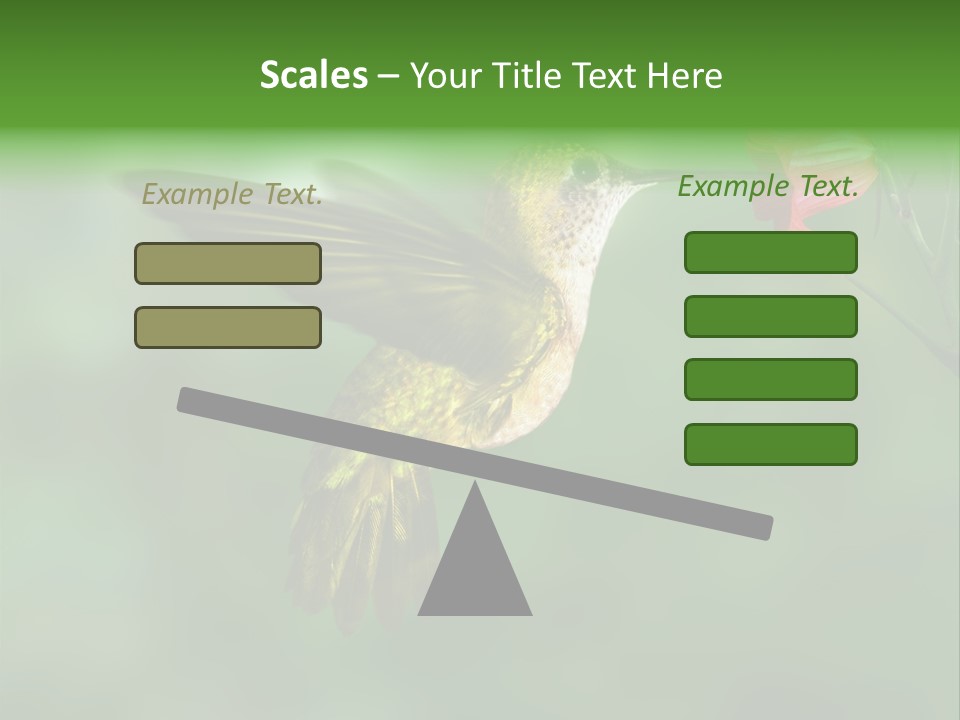 Wings Beak Hummingbird PowerPoint Template