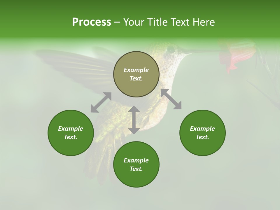 Wings Beak Hummingbird PowerPoint Template