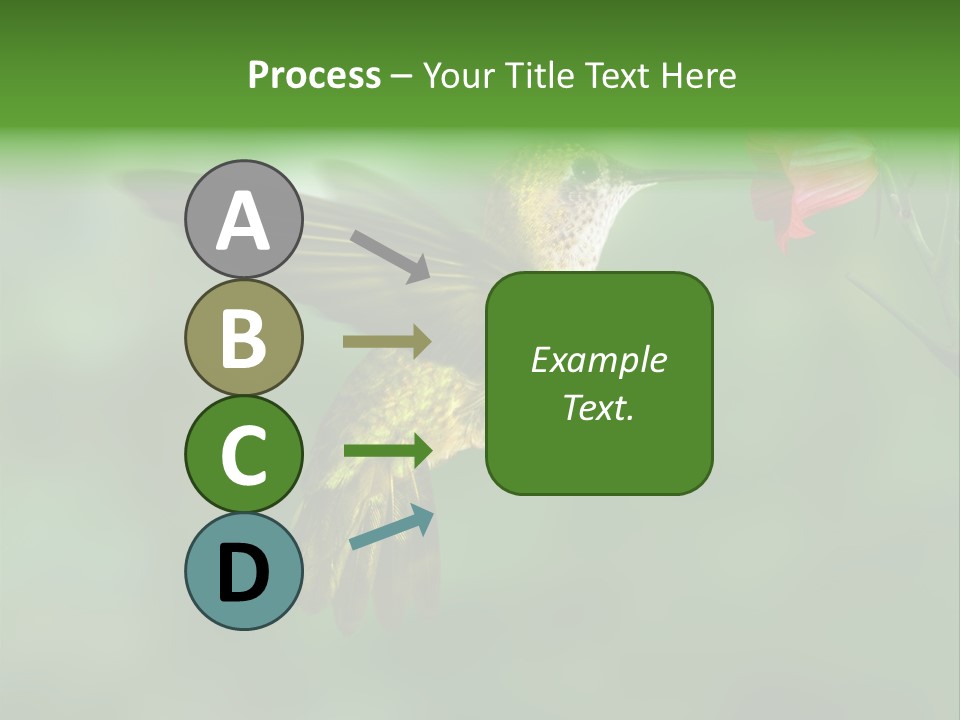 Wings Beak Hummingbird PowerPoint Template