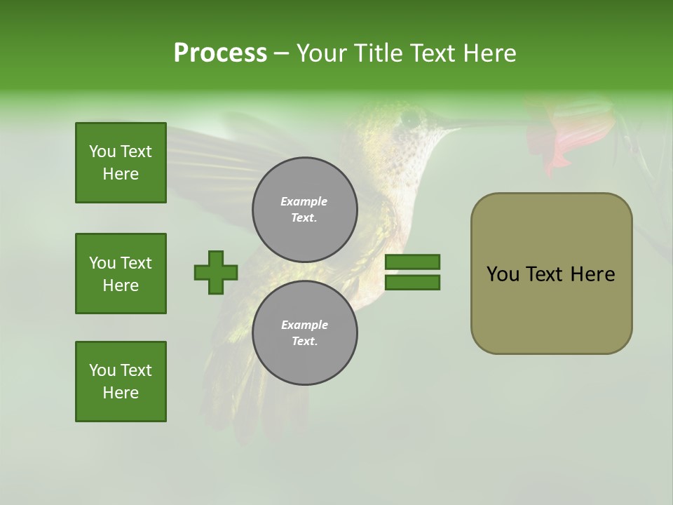 Wings Beak Hummingbird PowerPoint Template