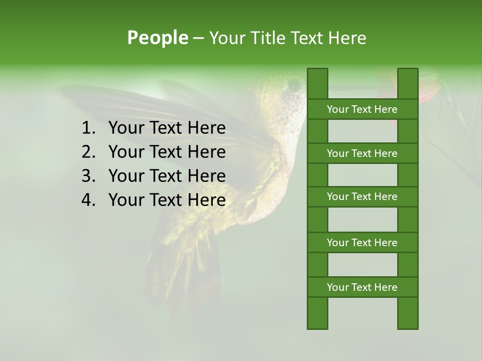 Wings Beak Hummingbird PowerPoint Template