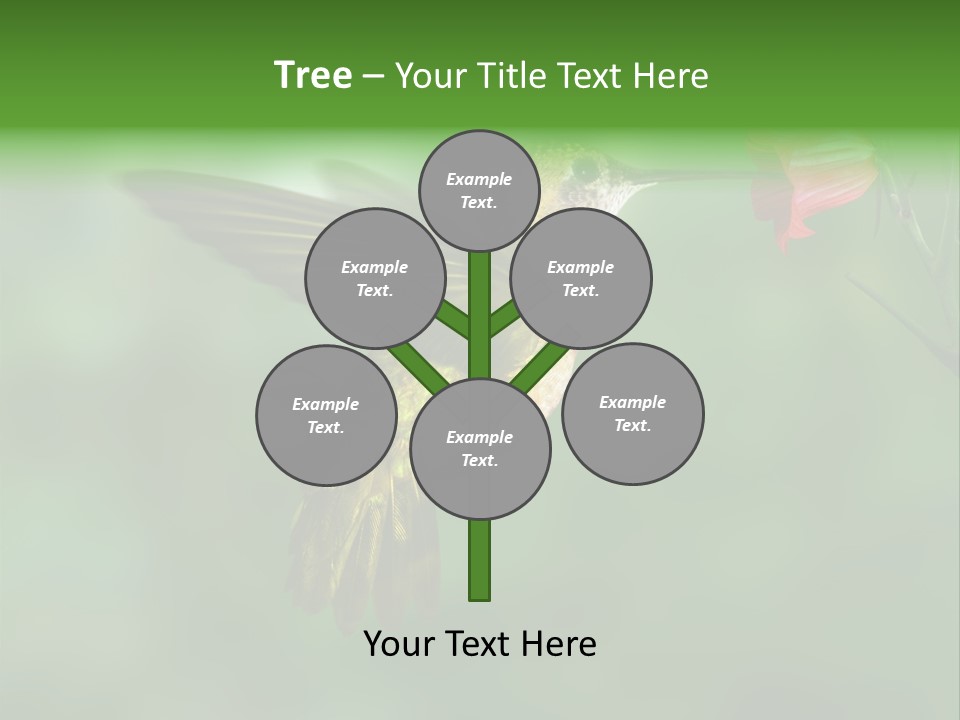 Wings Beak Hummingbird PowerPoint Template