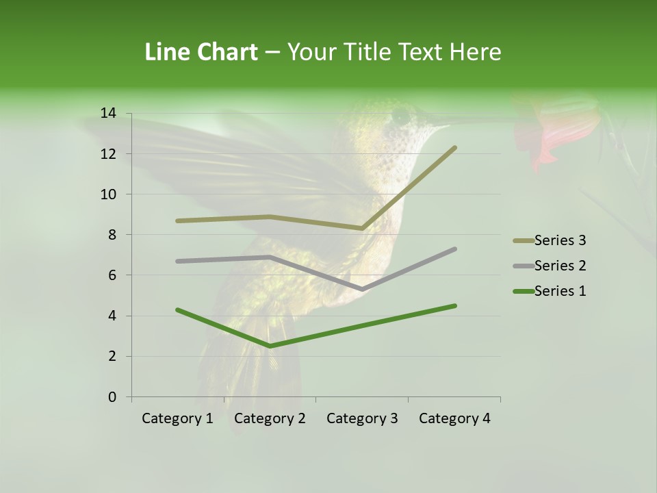Wings Beak Hummingbird PowerPoint Template