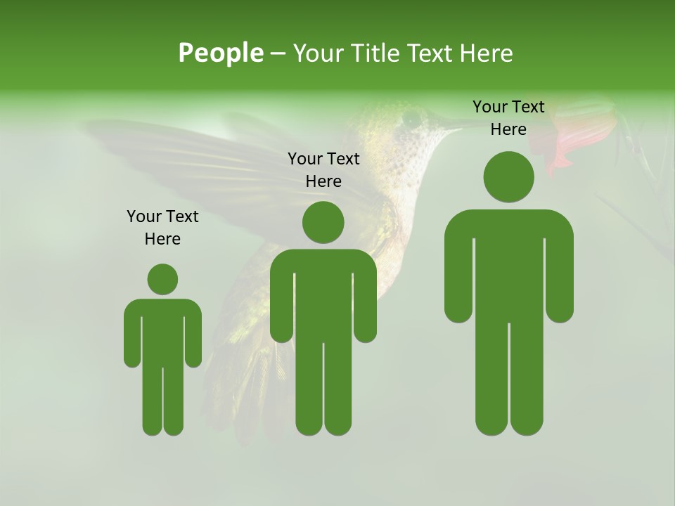 Wings Beak Hummingbird PowerPoint Template