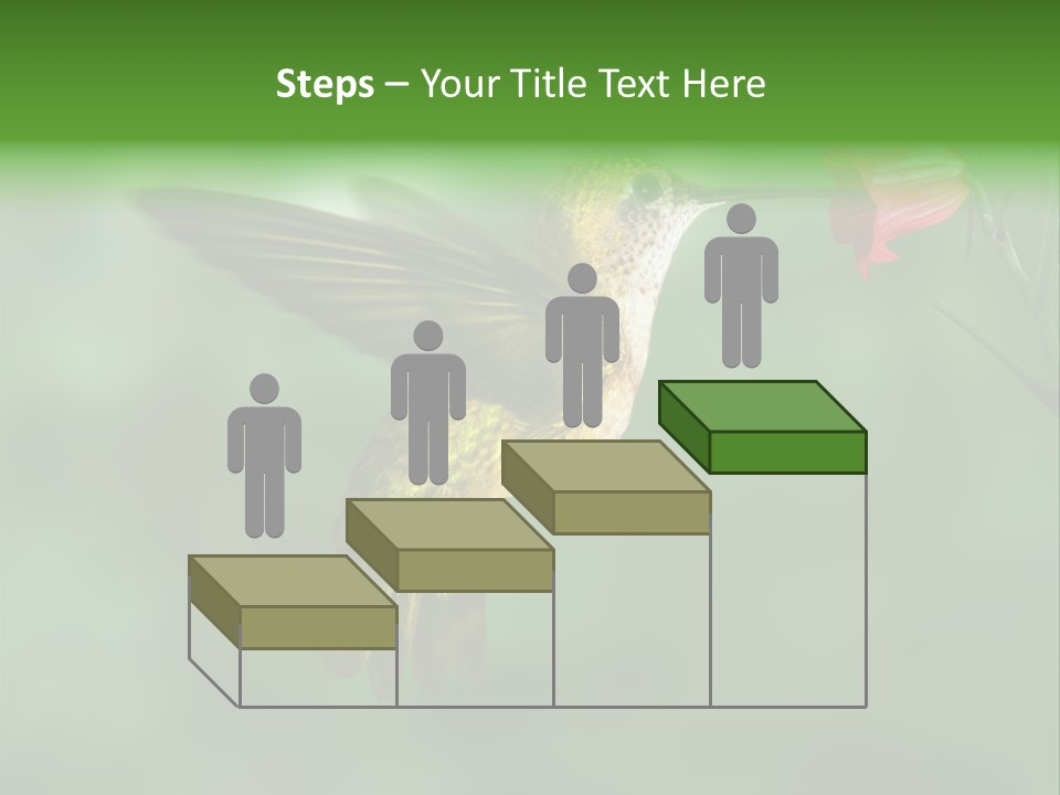 Wings Beak Hummingbird PowerPoint Template