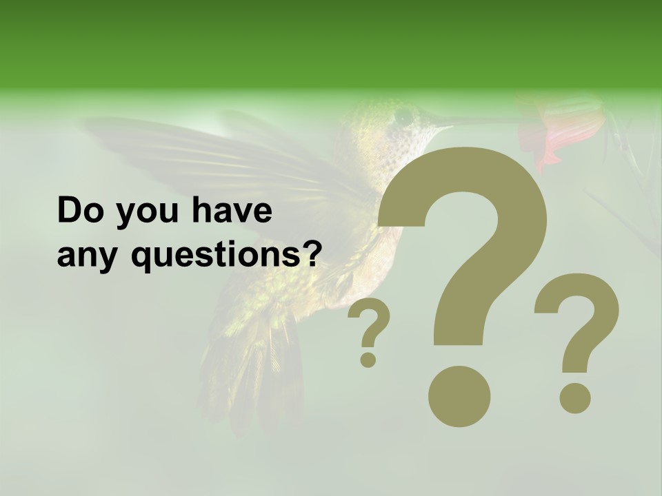 Wings Beak Hummingbird PowerPoint Template