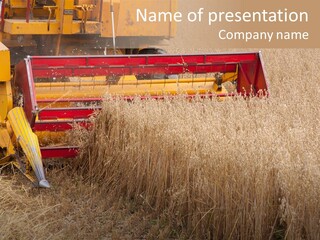 Combine Growing Food PowerPoint Template