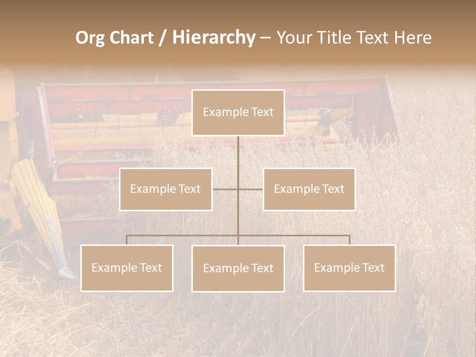 Combine Growing Food PowerPoint Template