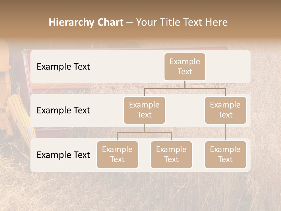 Combine Growing Food PowerPoint Template