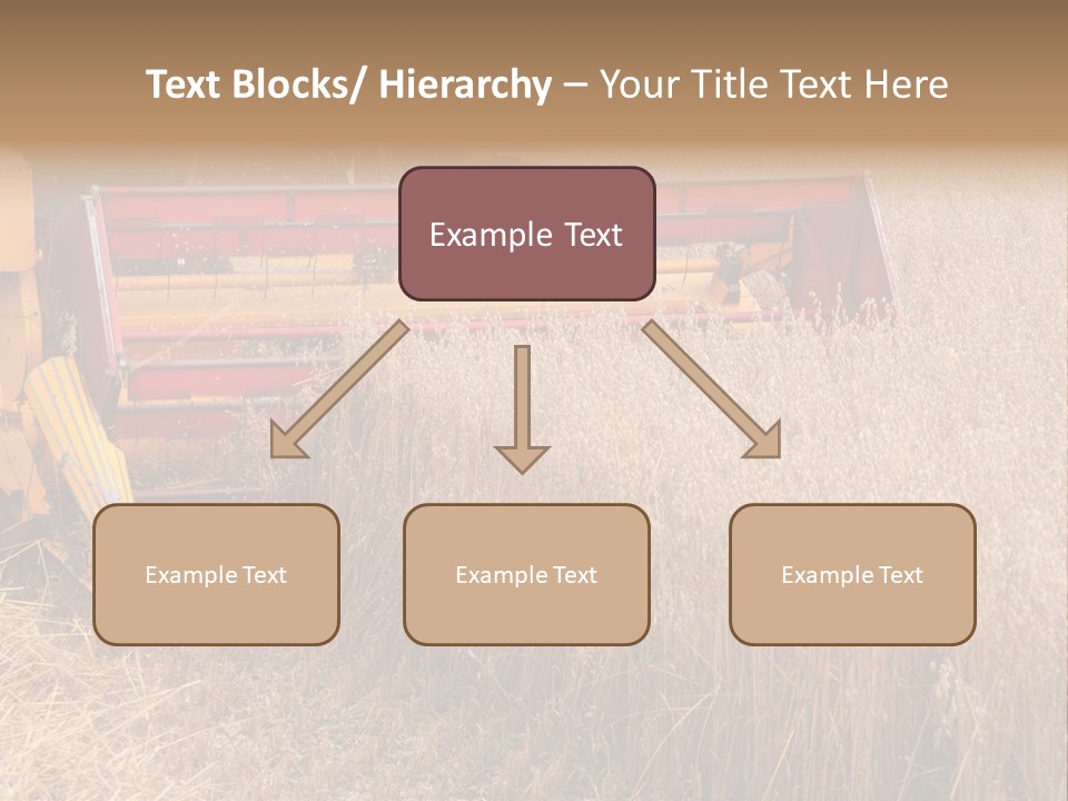 Combine Growing Food PowerPoint Template