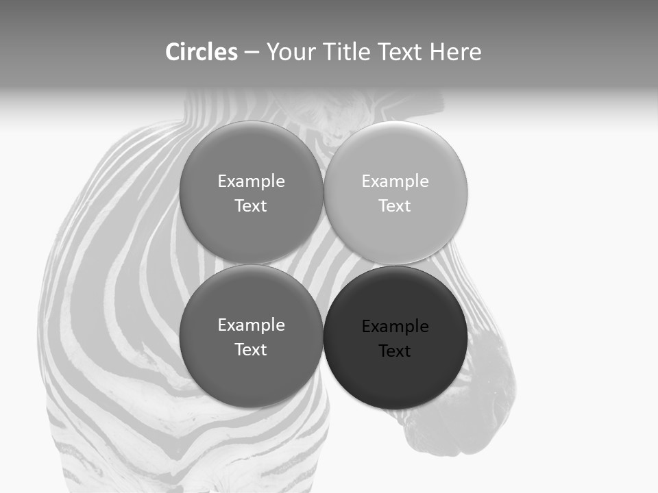 Safari Black Looking PowerPoint Template