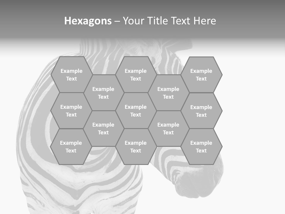 Safari Black Looking PowerPoint Template