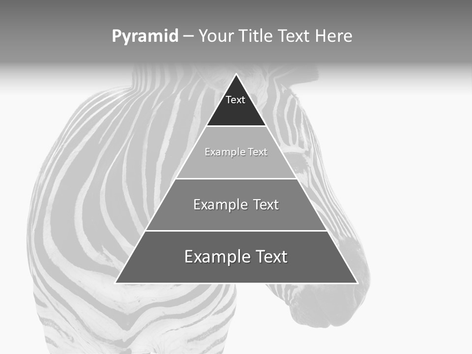 Safari Black Looking PowerPoint Template