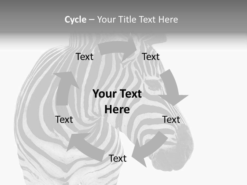 Safari Black Looking PowerPoint Template