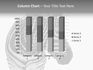 Safari Black Looking PowerPoint Template