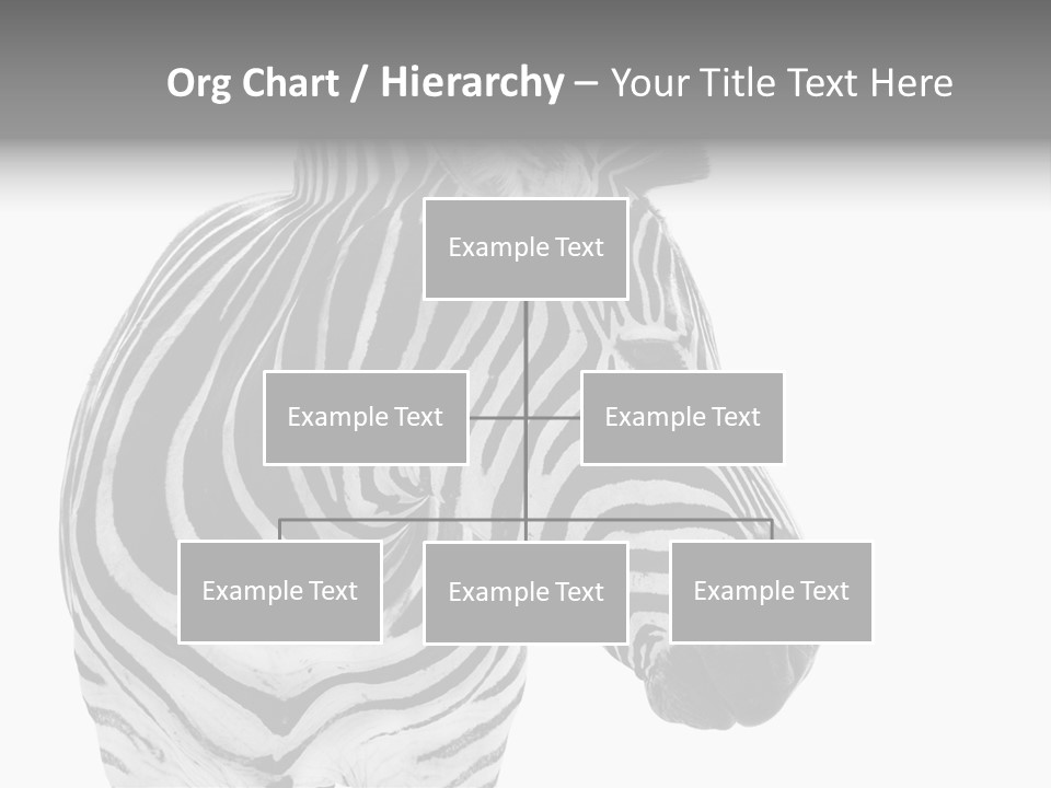 Safari Black Looking PowerPoint Template