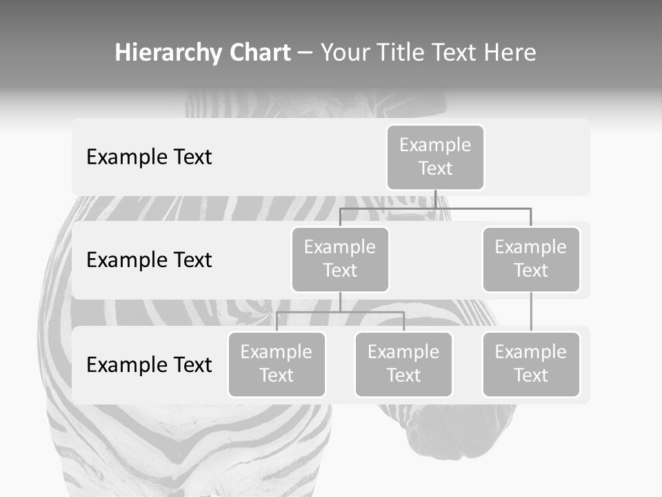 Safari Black Looking PowerPoint Template