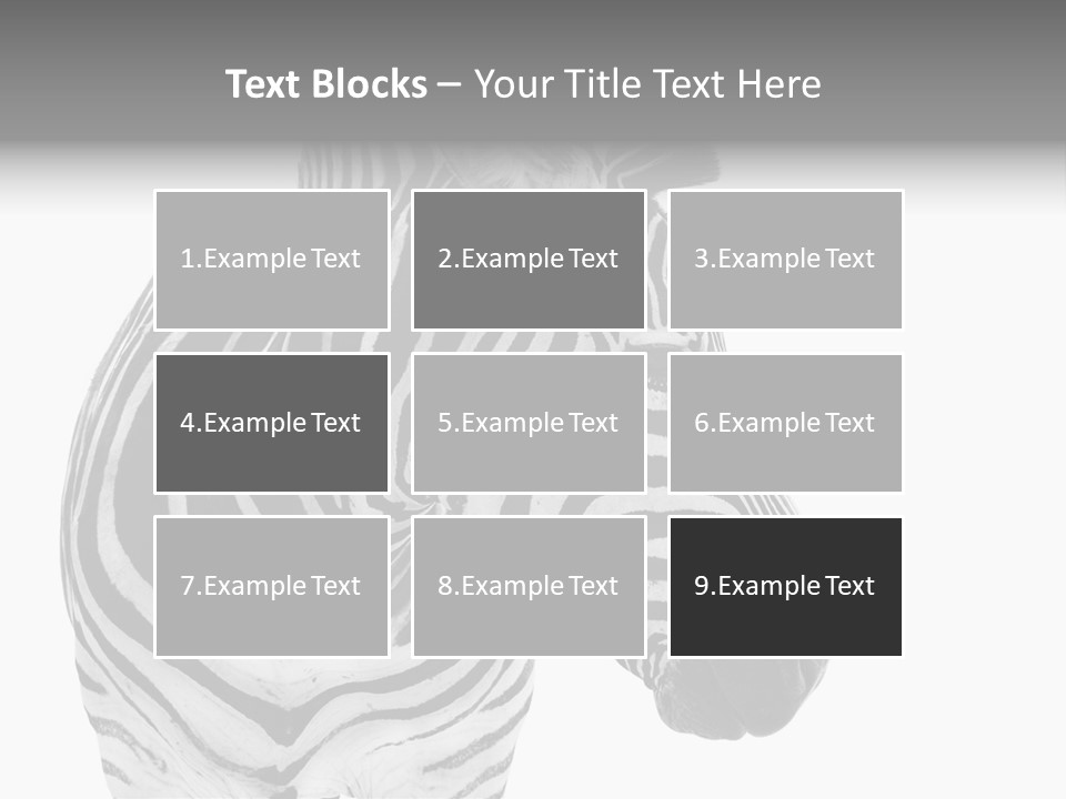 Safari Black Looking PowerPoint Template