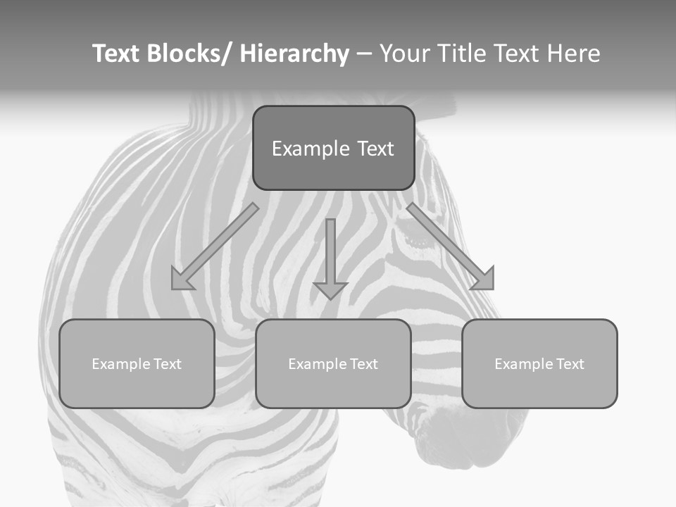 Safari Black Looking PowerPoint Template