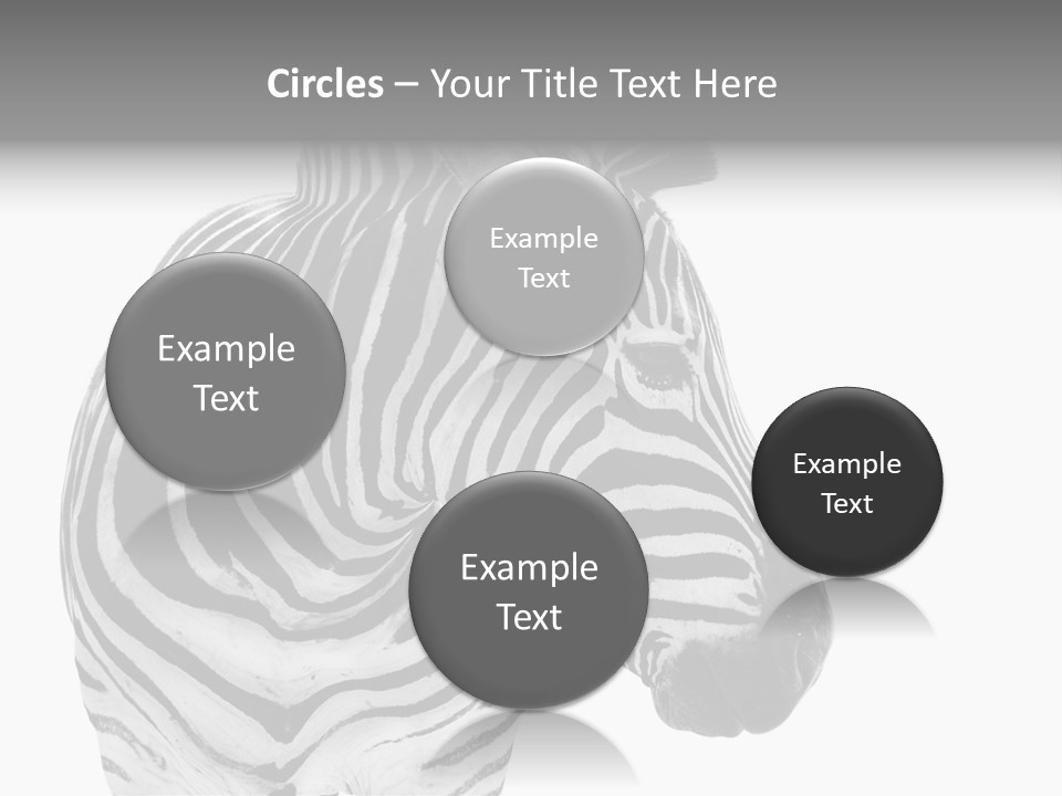 Safari Black Looking PowerPoint Template