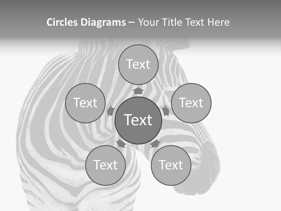 Safari Black Looking PowerPoint Template