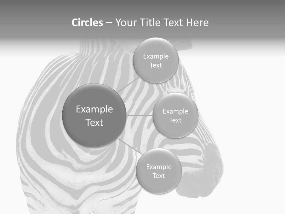 Safari Black Looking PowerPoint Template