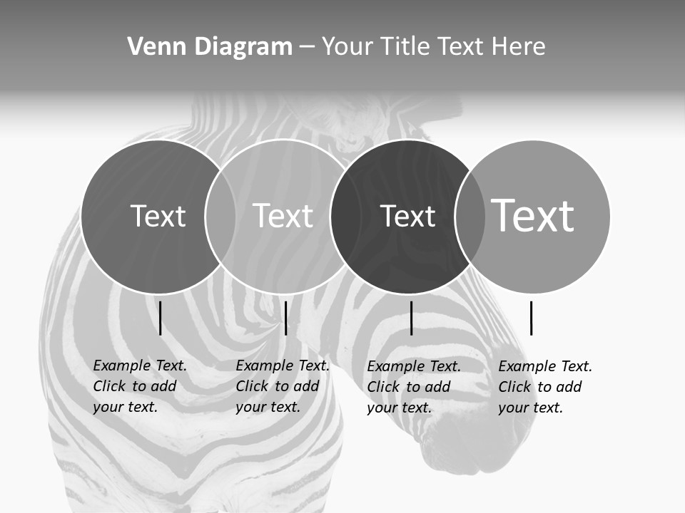 Safari Black Looking PowerPoint Template