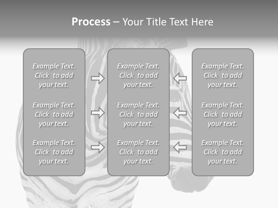 Safari Black Looking PowerPoint Template