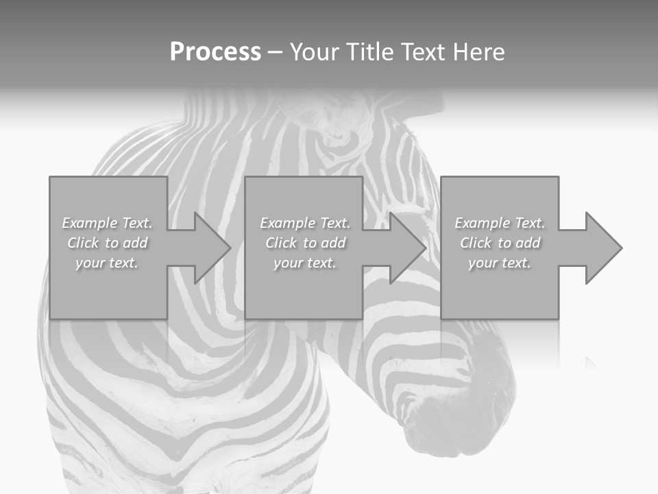Safari Black Looking PowerPoint Template
