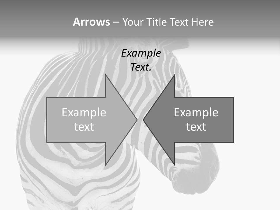 Safari Black Looking PowerPoint Template
