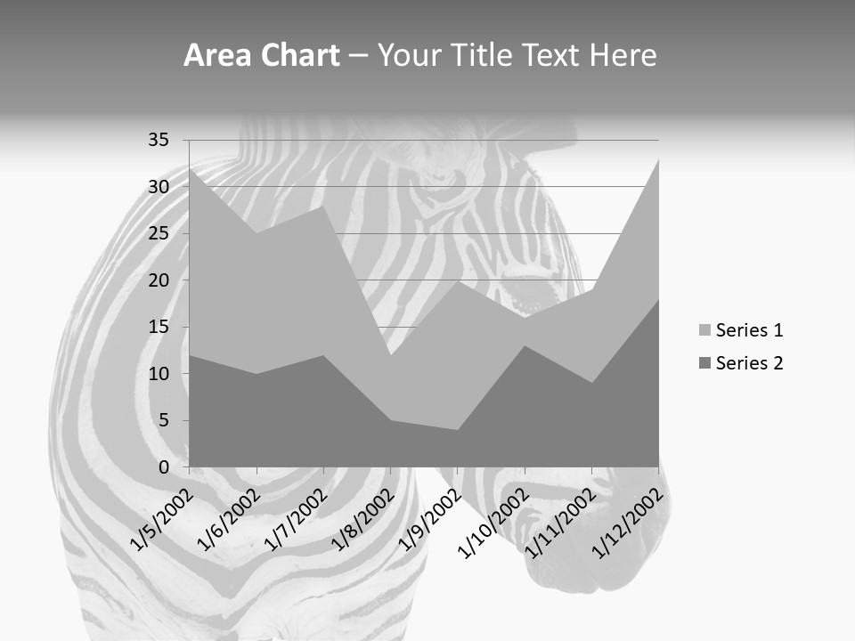 Safari Black Looking PowerPoint Template